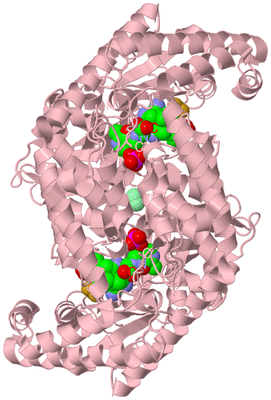 Image Biological Unit 2