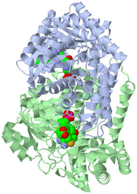 Image Biological Unit 1