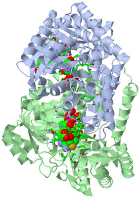 Image Biol. Unit 1 - sites