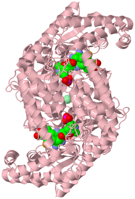 Image Biological Unit 2