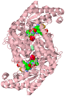 Image Biological Unit 2