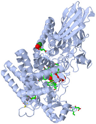 Image Biol. Unit 1 - sites