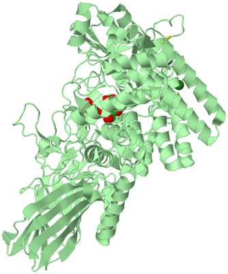 Image Biological Unit 2