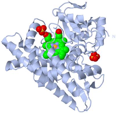 Image Biological Unit 1