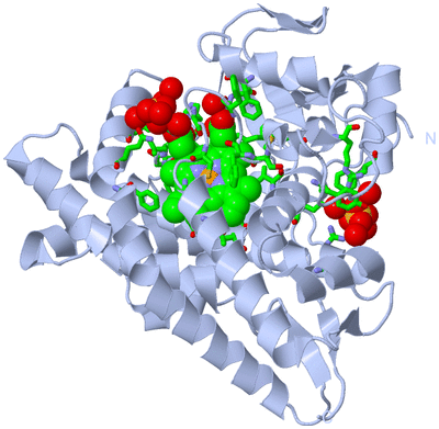 Image Biol. Unit 1 - sites