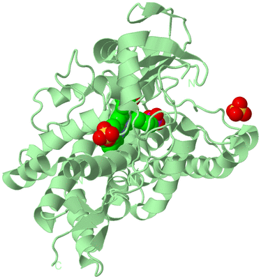 Image Biological Unit 2