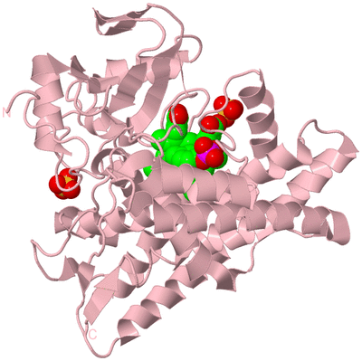 Image Biological Unit 3