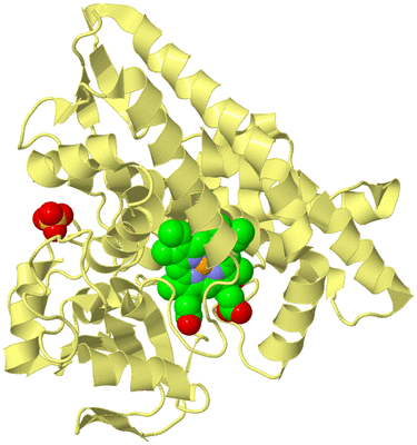 Image Biological Unit 4