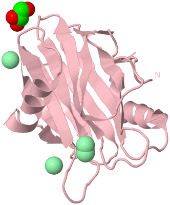 Image Biological Unit 3