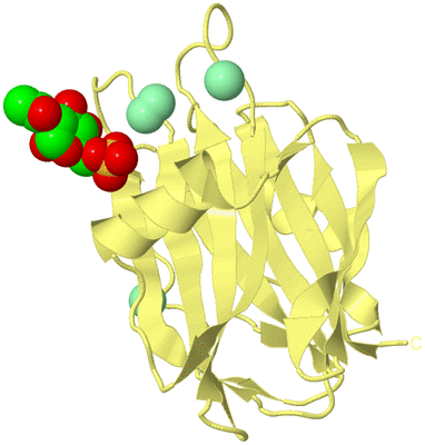 Image Biological Unit 4