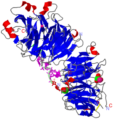 Image Asym./Biol. Unit