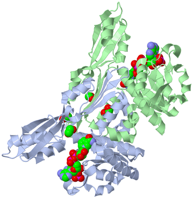 Image Asym./Biol. Unit