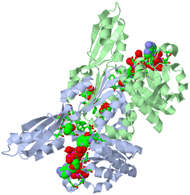 Image Asym./Biol. Unit - sites