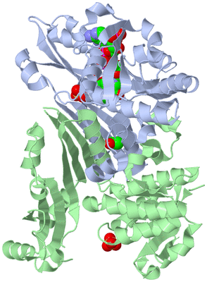 Image Asym./Biol. Unit