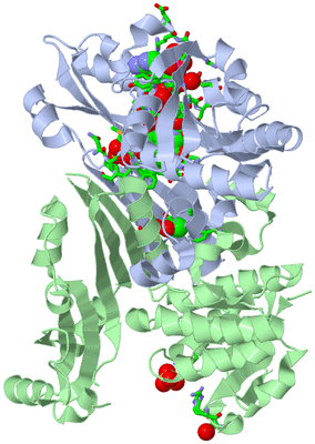 Image Asym./Biol. Unit - sites