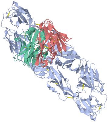 Image Biological Unit 1