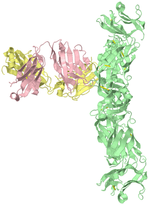 Image Biological Unit 2