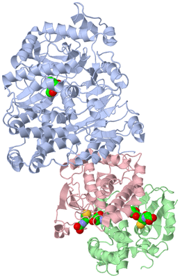 Image Biological Unit 1