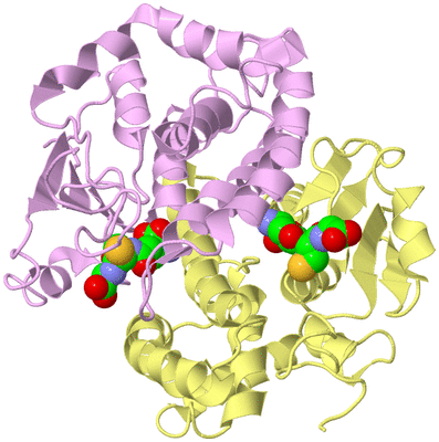 Image Biological Unit 2