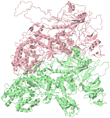 Image Asym./Biol. Unit