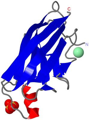 Image Asymmetric Unit