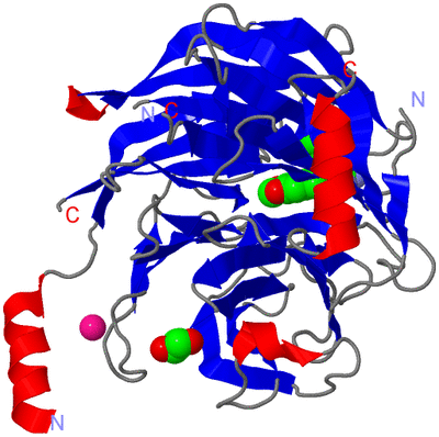 Image Asym./Biol. Unit