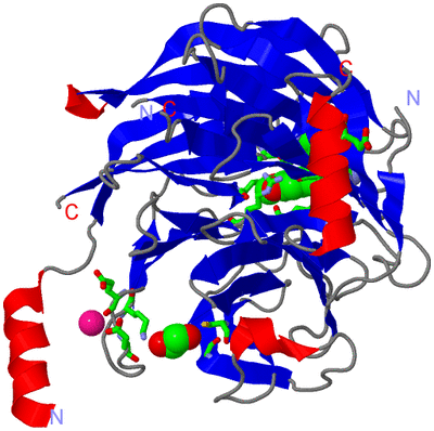 Image Asym./Biol. Unit - sites