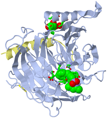 Image Biol. Unit 1 - sites