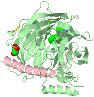 Image Biological Unit 2