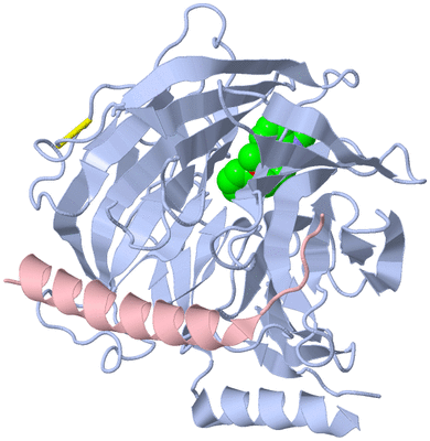 Image Biological Unit 1