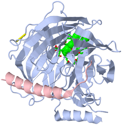 Image Biol. Unit 1 - sites