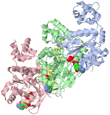 Image Asym./Biol. Unit