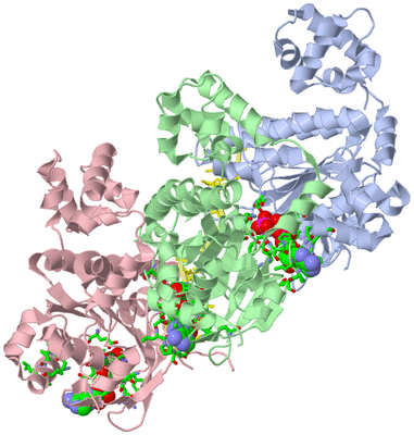 Image Asym./Biol. Unit - sites