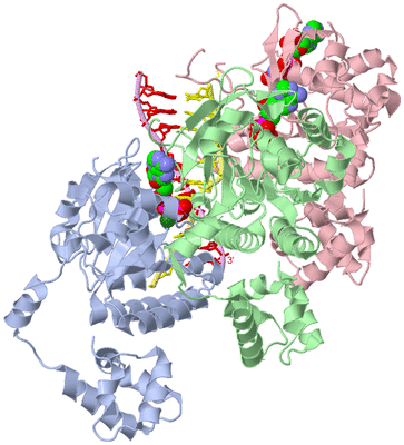 Image Asym./Biol. Unit