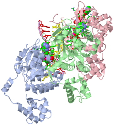 Image Asym./Biol. Unit - sites