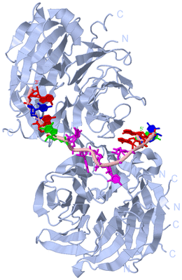 Image Biological Unit 1