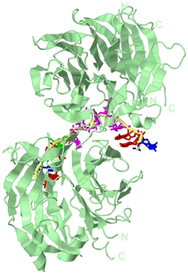 Image Biological Unit 2