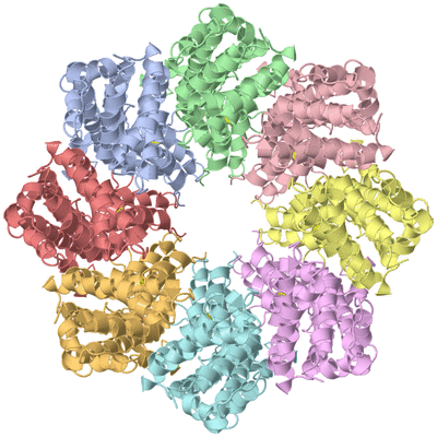 Image Asym./Biol. Unit