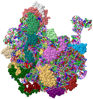 Image Asym./Biol. Unit