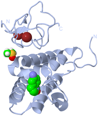 Image Biological Unit 1