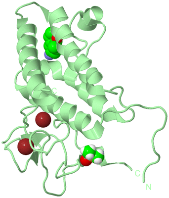 Image Biological Unit 2