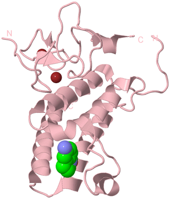 Image Biological Unit 3