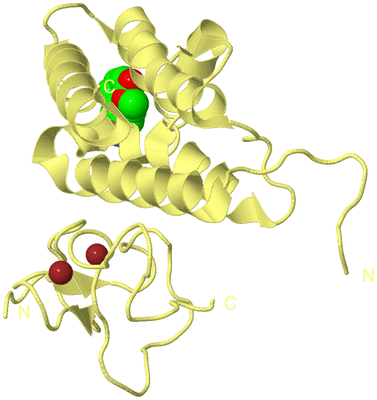 Image Biological Unit 4