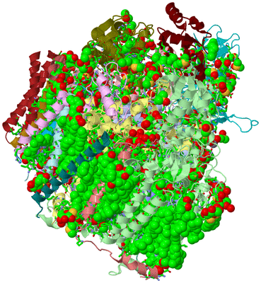 Image Biol. Unit 1 - sites