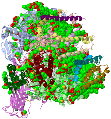 Image Biological Unit 2