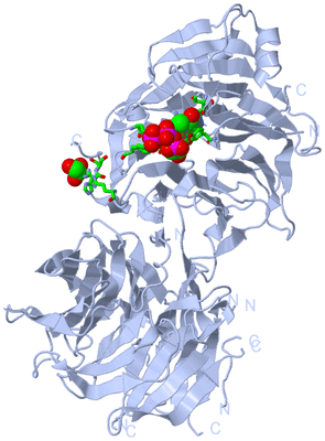 Image Biol. Unit 1 - sites