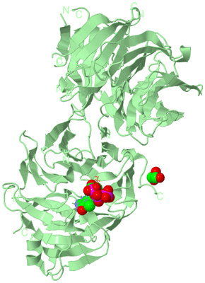 Image Biological Unit 2