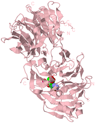 Image Biological Unit 3