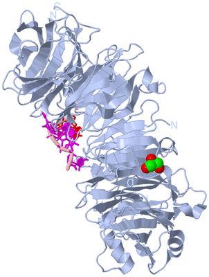 Image Biological Unit 1