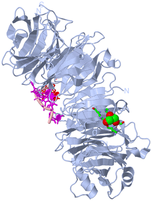 Image Biol. Unit 1 - sites